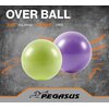 Pegasus® Μπάλα Γυμναστικής Pilates 25cm (Μωβ) Β-1510-PL