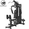 Πολυόργανο Pegasus® ms-130 378131913
