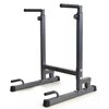 Viking ds-90  dip Station