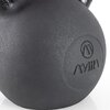 Amila Kettlebell Cast Iron 12kg 44684