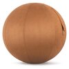 Κάλυμμα για Μπάλα Γυμναστικής Amila Gymball 75cm Sueded Καφέ 96792