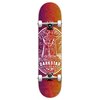 Darkstar Warrior yth fp Premium Complete Skateboard 7.375'' - Multi