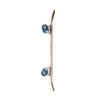 Speed Demons Stars Complete Τροχοσανίδα 7.75'' - Μπλε