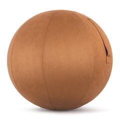 Κάλυμμα για Μπάλα Γυμναστικής Amila Gymball 65cm Sueded Καφέ Κωδ. 96791