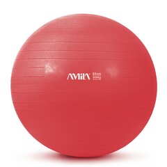 Μπάλα Γυμναστικής AMILA GYMBALL 65cm Κόκκινη Bulk 48441