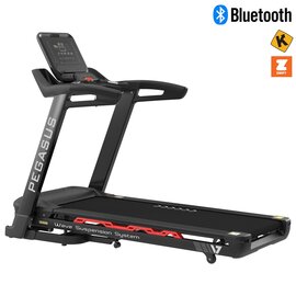 Pegasus® Ηλεκτρικός Διάδρομος V7 3.5ΗΡ AC 338356022