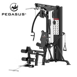 Πολυόργανο Pegasus® hg8 308878800