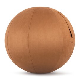 Κάλυμμα για Μπάλα Γυμναστικής Amila Gymball 65cm Sueded Καφέ Κωδ. 96791