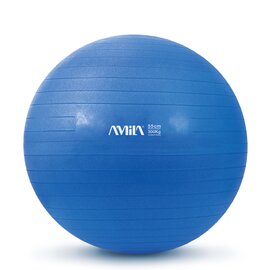 Μπάλα Γυμναστικής 55 cm - Μπλε 95831