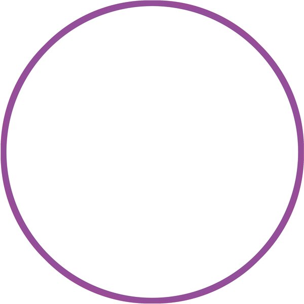 Χούλα Χουπ hq 80cm - Φ19mm - 330gr, μωβ 98819